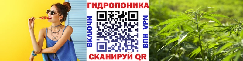 ЭКСТАЗИ Вольск