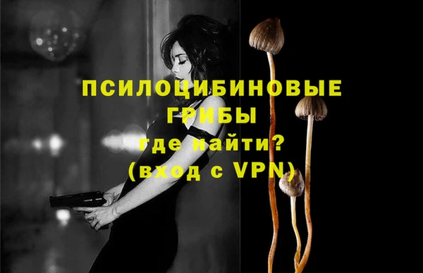 спайс Костерёво