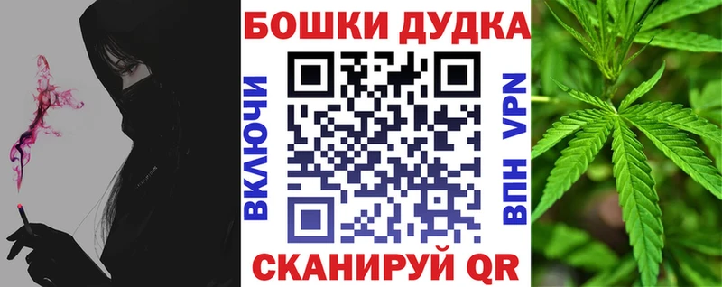 Купить где  Вольск  Канабис индика 